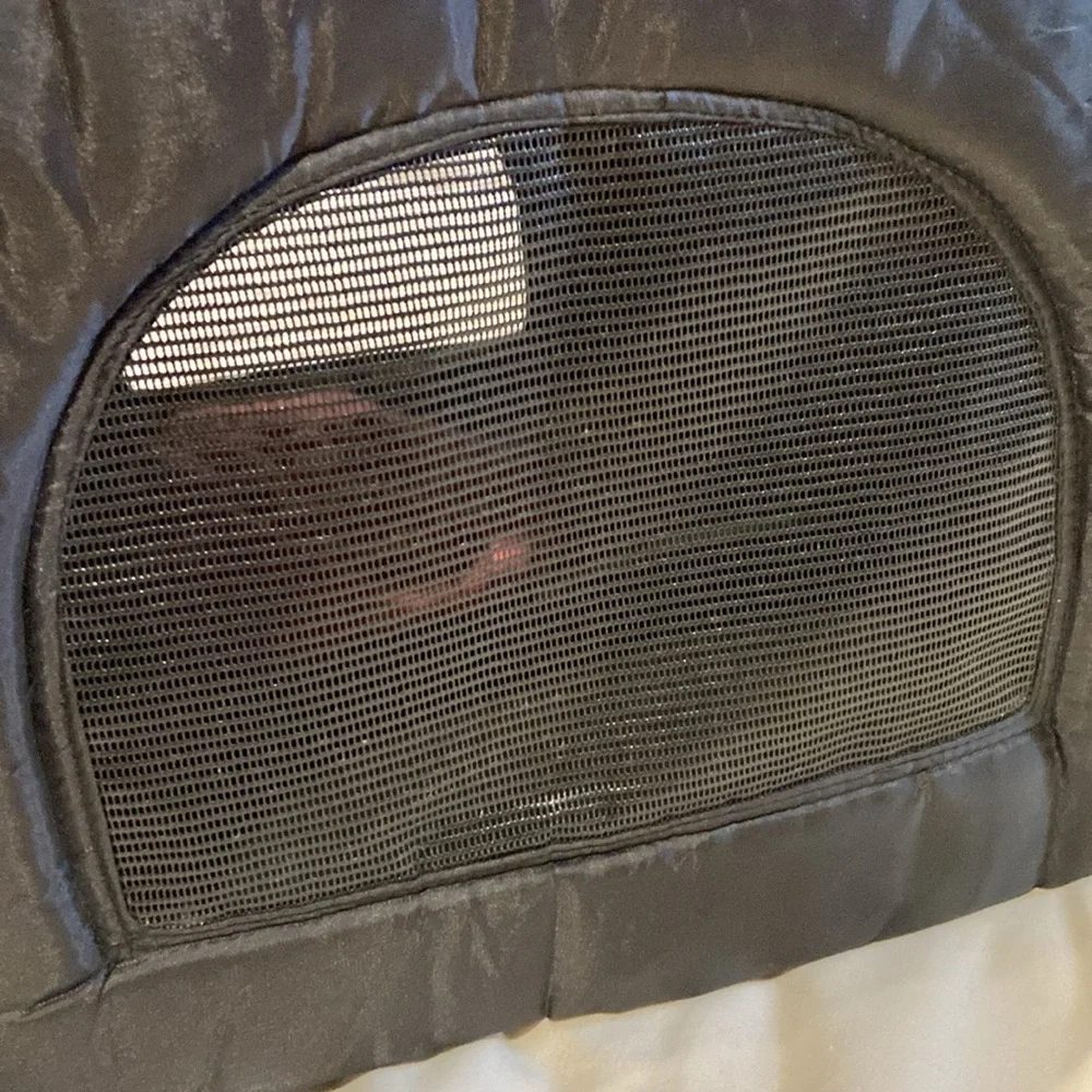 Small pet carrier with small sweater